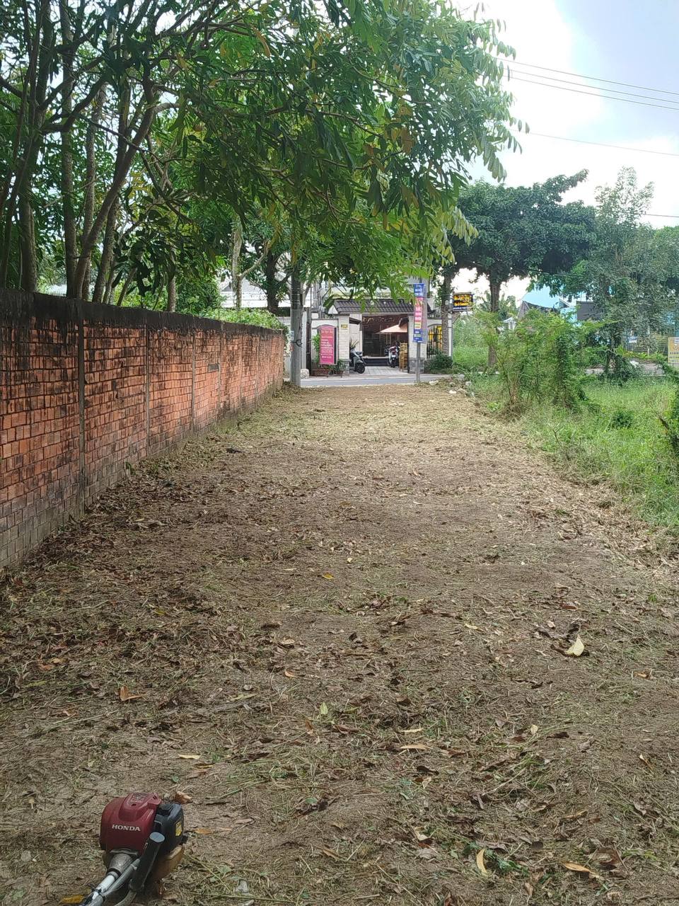 Dịch vụ cắt cỏ đất trống Sóc Trăng