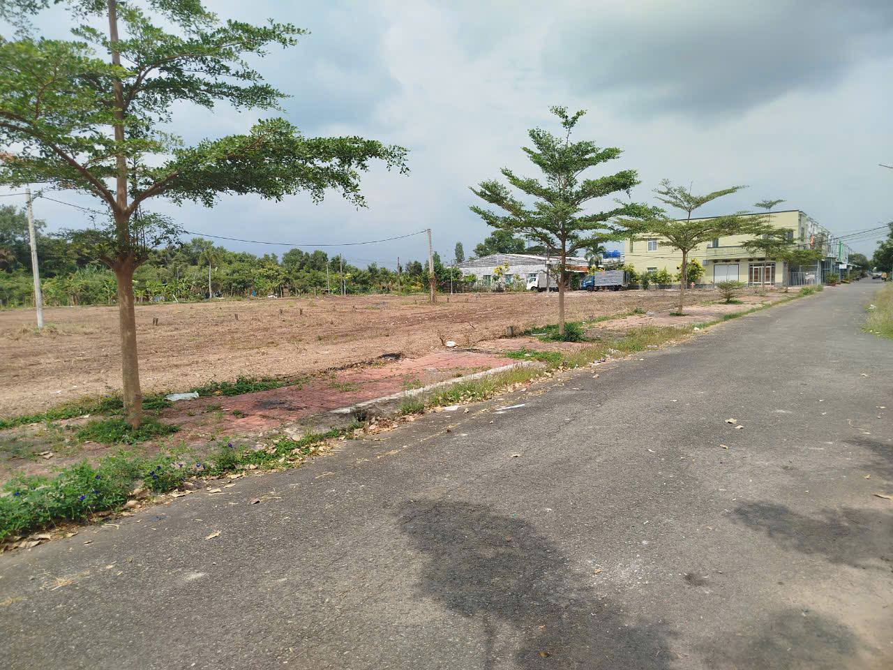 Cắt cỏ khu dân cư Sóc Trăng - phát quang đất nền