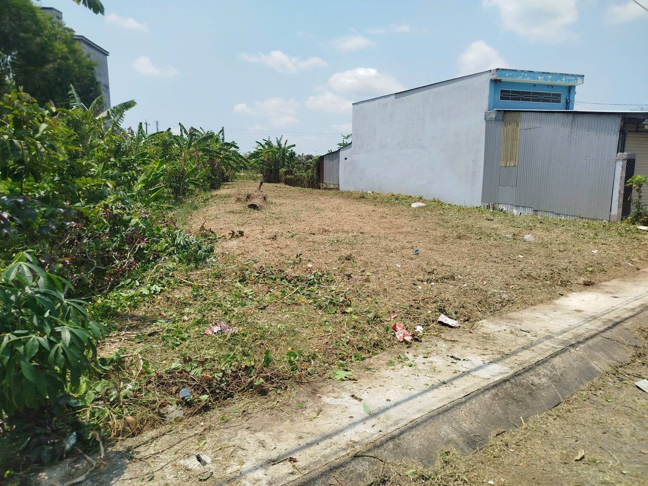 Phát quang cỏ dại đất nền Sóc Trăng